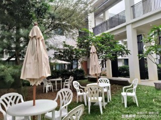 活動照片